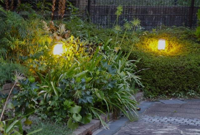 🌳半田市の住宅に美しさと機能を兼ね備えた植栽を